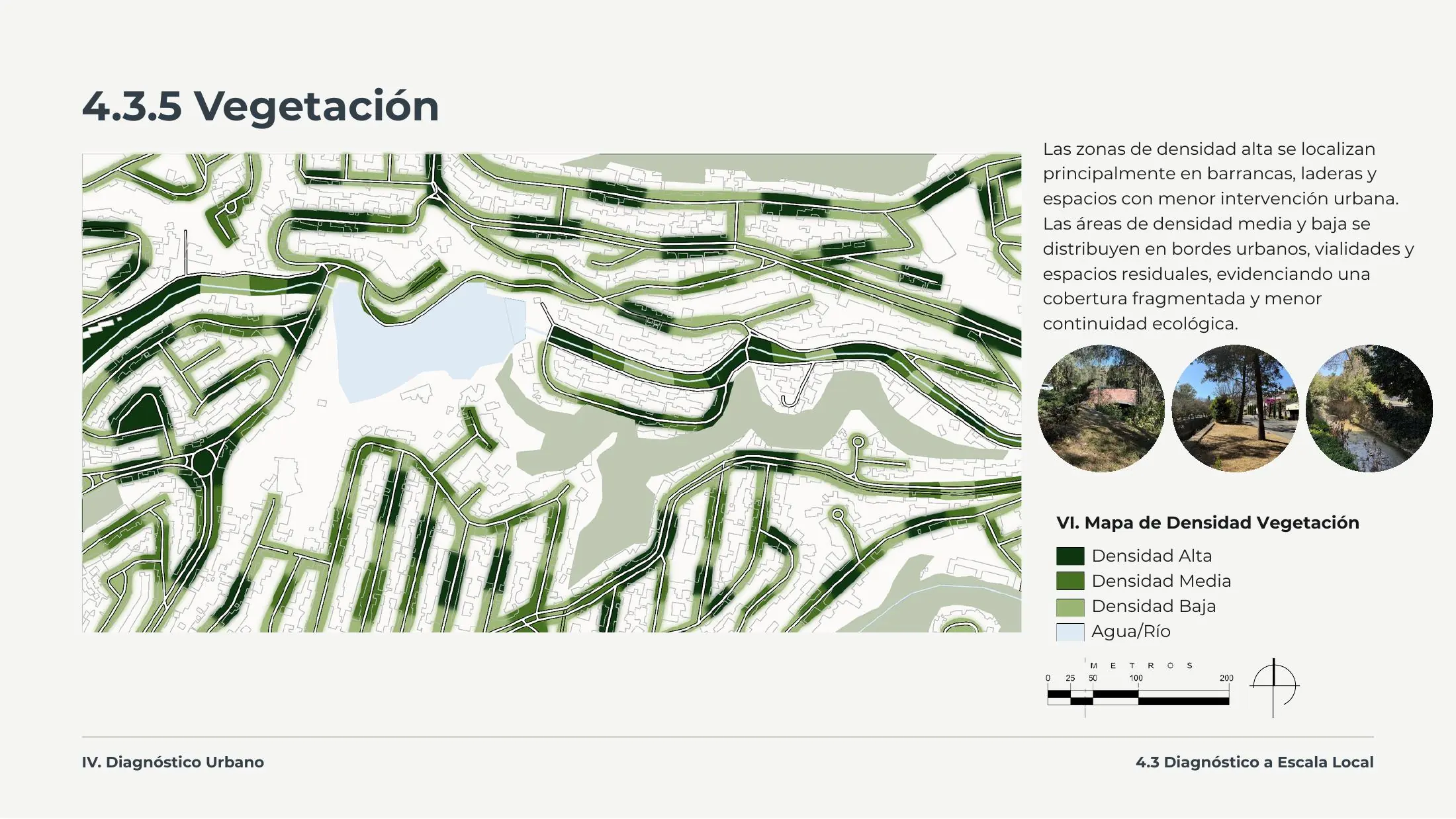 L-03 — Mapa de densidad de vegetación