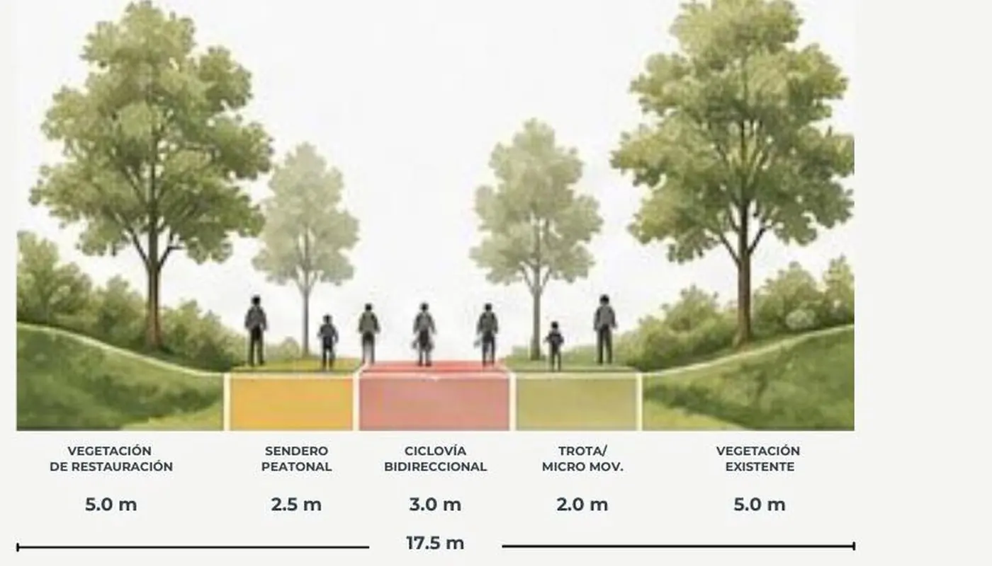 Sección tipo del corredor con vegetación de restauración, sendero peatonal, ciclovía, franja de trote y vegetación existente